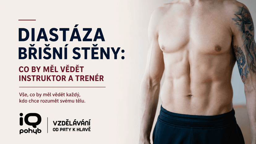Diastáza břišní stěny: co by měl vědět instruktor a trenér