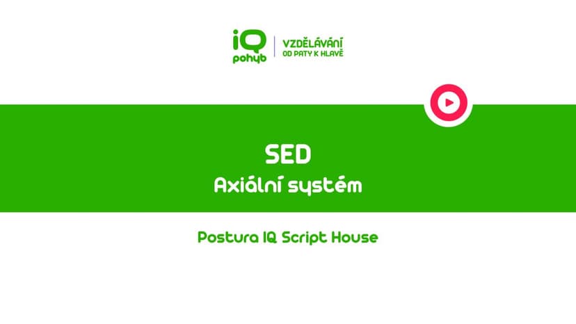 Postura - Axiální systém a Dolní končetina - Sed a jeho varianty